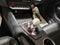 2025 Ford Mustang GT Premium Fastback